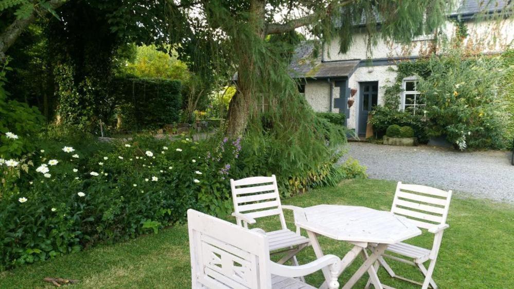 Hotel The Old Goathouse Kildare Exterior foto