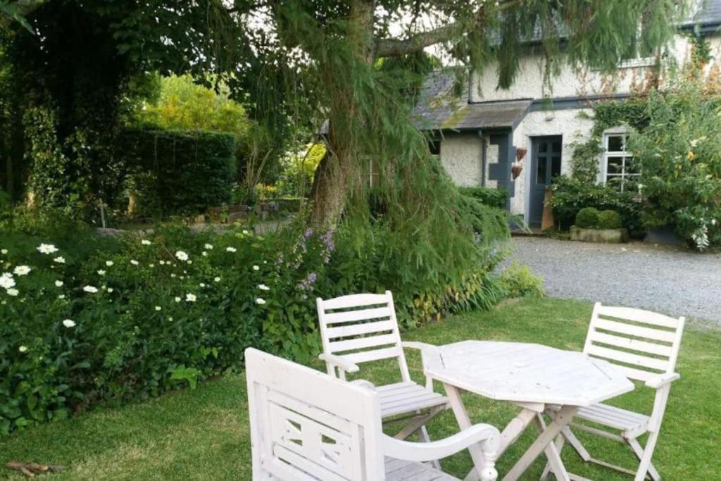 Hotel The Old Goathouse Kildare Exterior foto