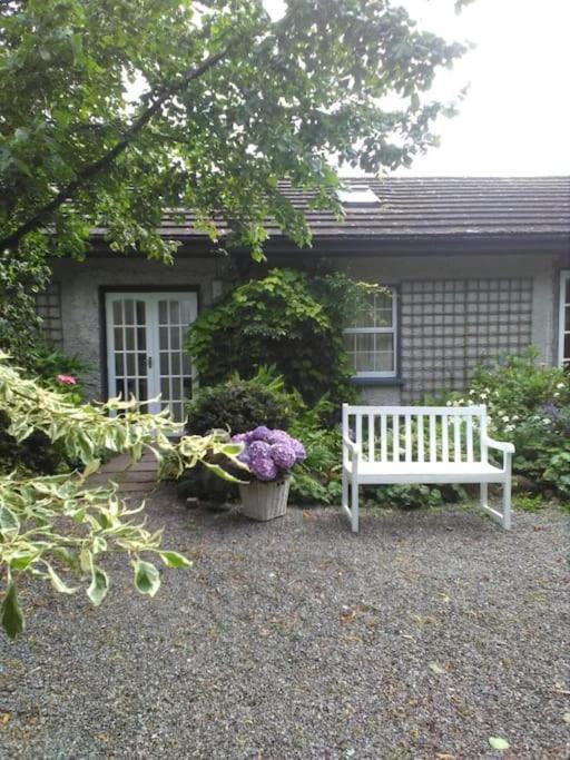 Hotel The Old Goathouse Kildare Exterior foto